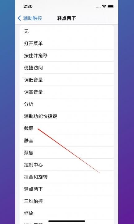苹果12pro max怎么截屏第5步