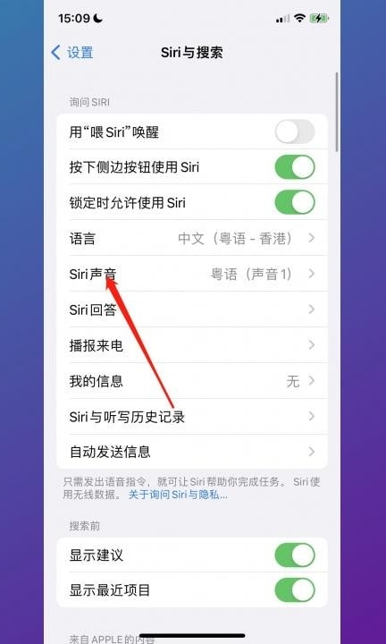 苹果导航语音怎么设置第4步