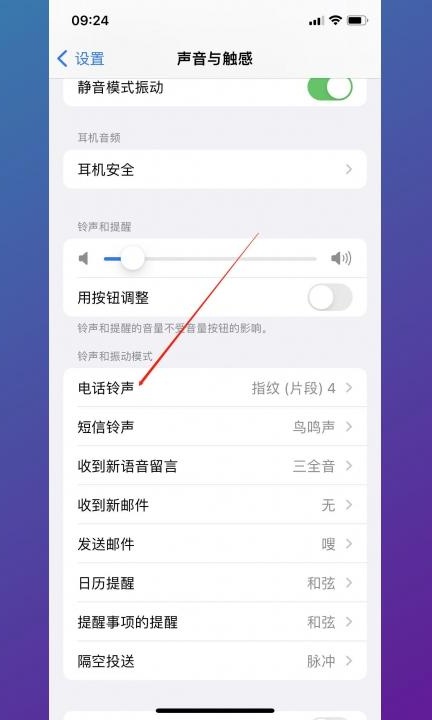 苹果14怎么设置来电铃声歌曲第2步