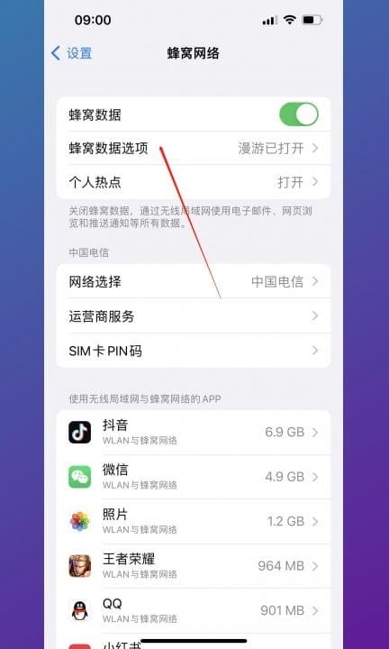手机上怎么打开5g网第2步