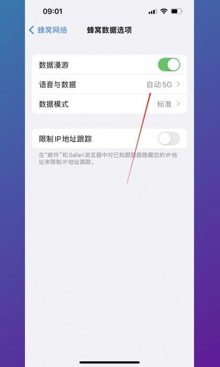 手机上怎么打开5g网第3步