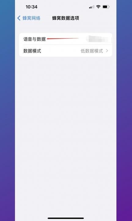 为什么苹果13不显示5G第3步