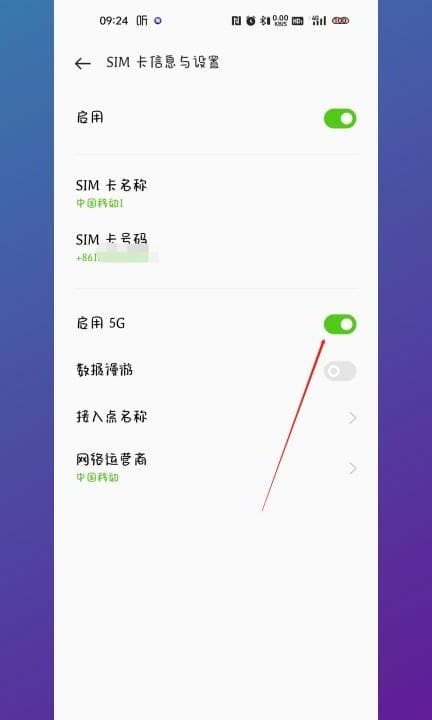 手机上怎么打开5g网第3步