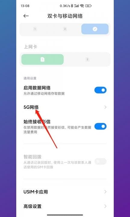 手机上怎么打开5g网第2步