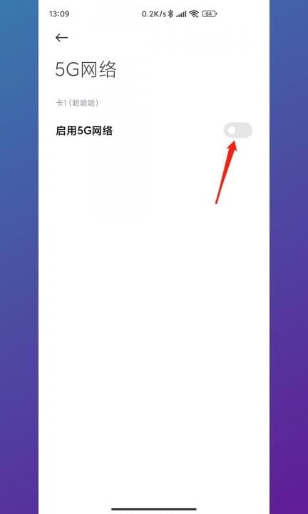 手机上怎么打开5g网第3步