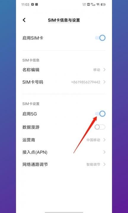 手机上怎么打开5g网第3步