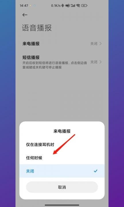 屏幕语音播报如何关闭第6步
