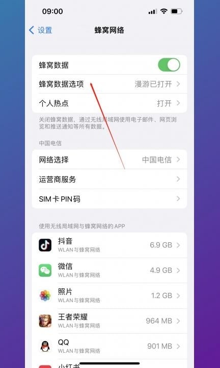 5gsa功能怎么打开第2步