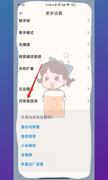 小米退出开发者模式第2步