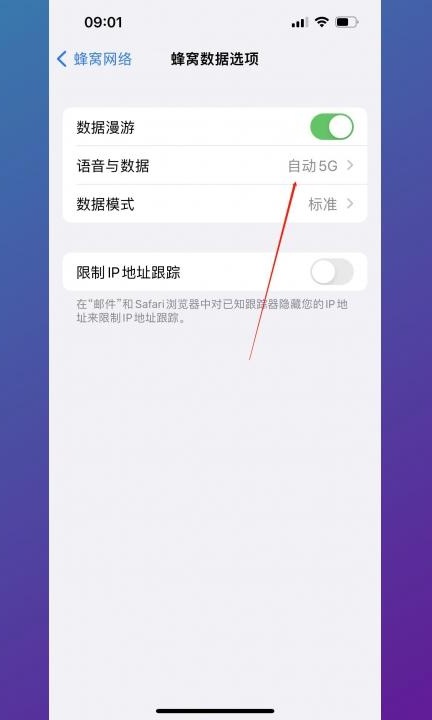 5gsa功能怎么打开第3步