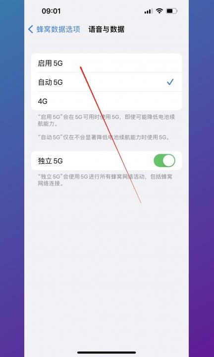 5gsa功能怎么打开第4步